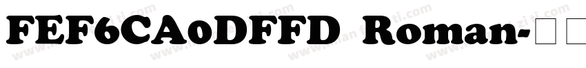 FEF6CA0DFFD Roman字体转换